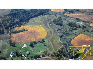 Property photo 46 - 1,153 +/- Acres offered in 15 TractsLAND AUCTION